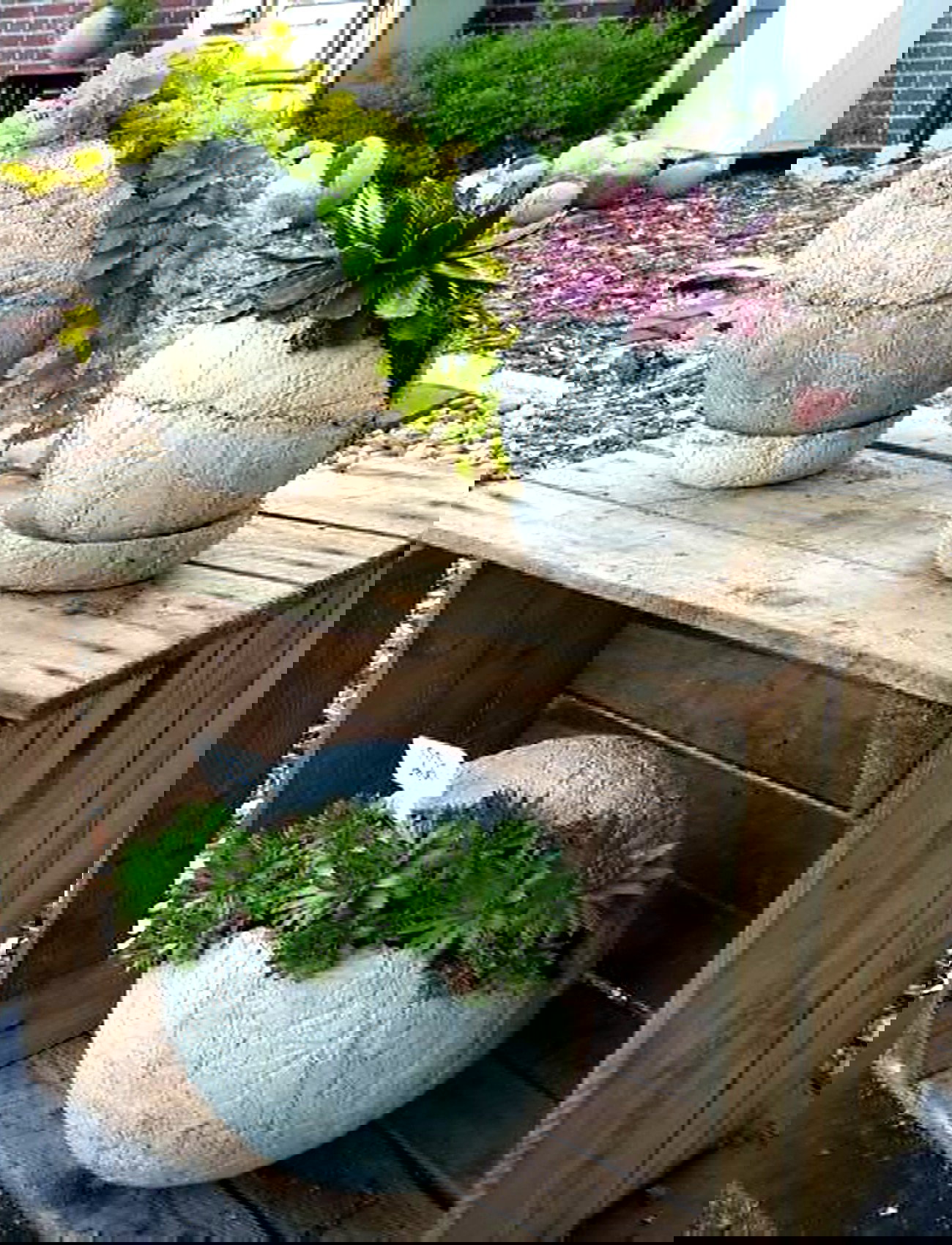 Photorealistic round concrete planter with green succulents and moss