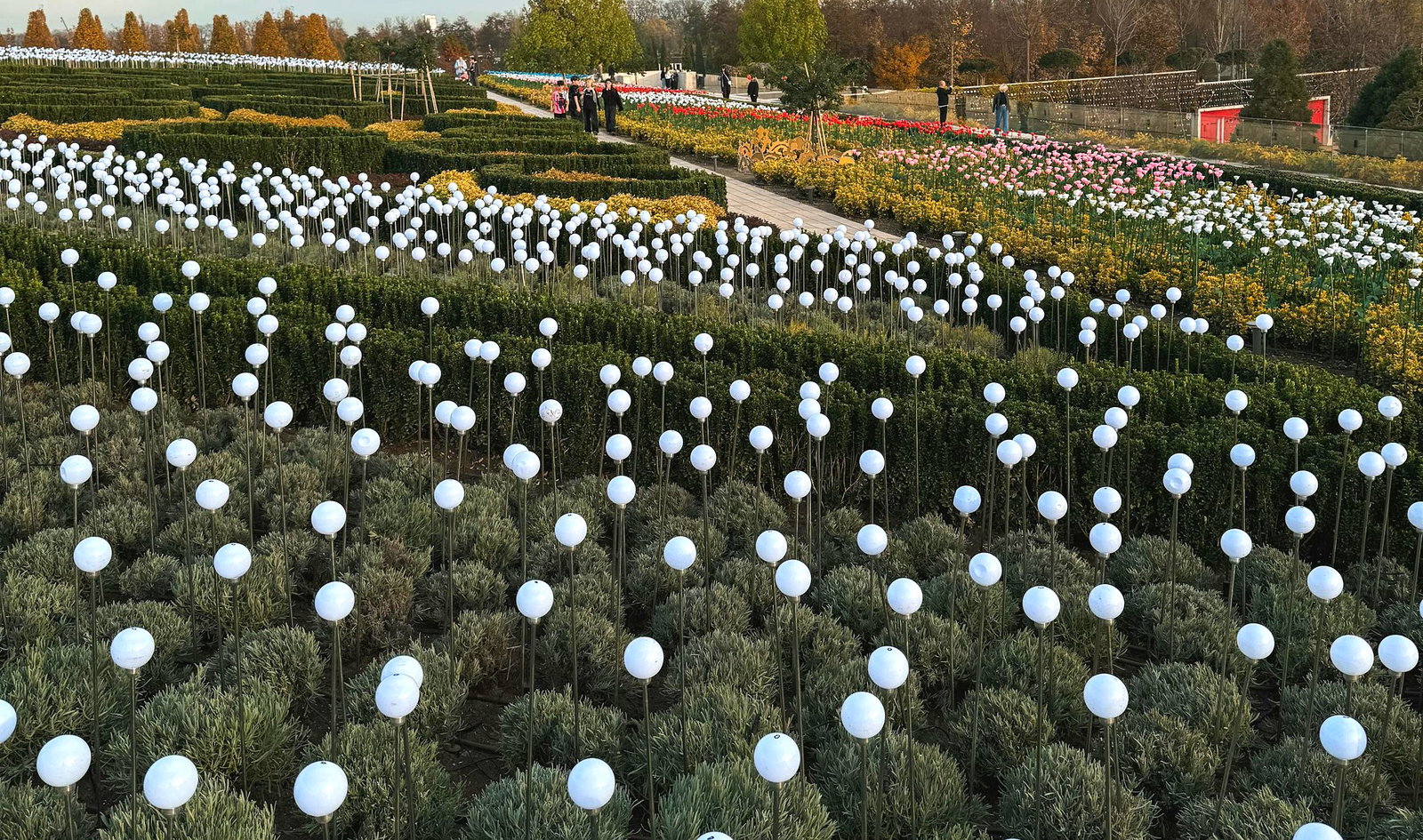 Wide tranquil garden field with white spherical forms and structured planting