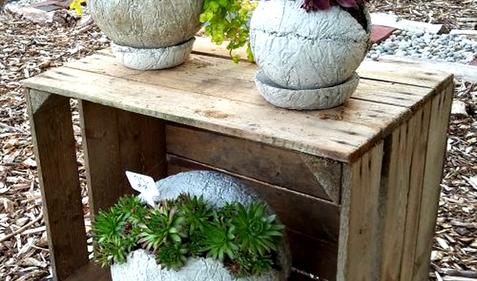 Photorealistic concrete garden sphere planters on rustic wood with green planting